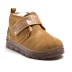 UGG Neumel Clear Chukka Chestnut