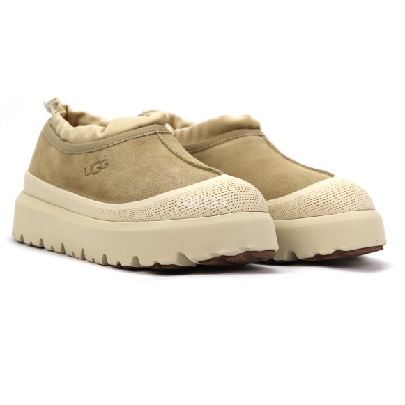 Ugg Tasman Hybrid Mustard Seed / Cream