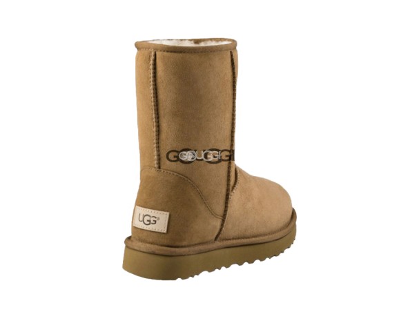 Classic Short Chestnut II