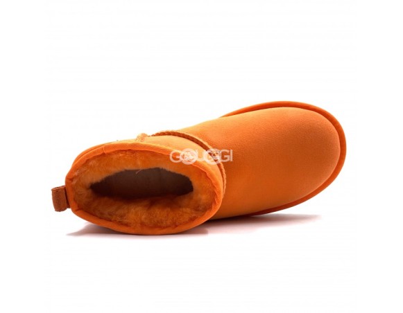 Ultra mini California Poppy